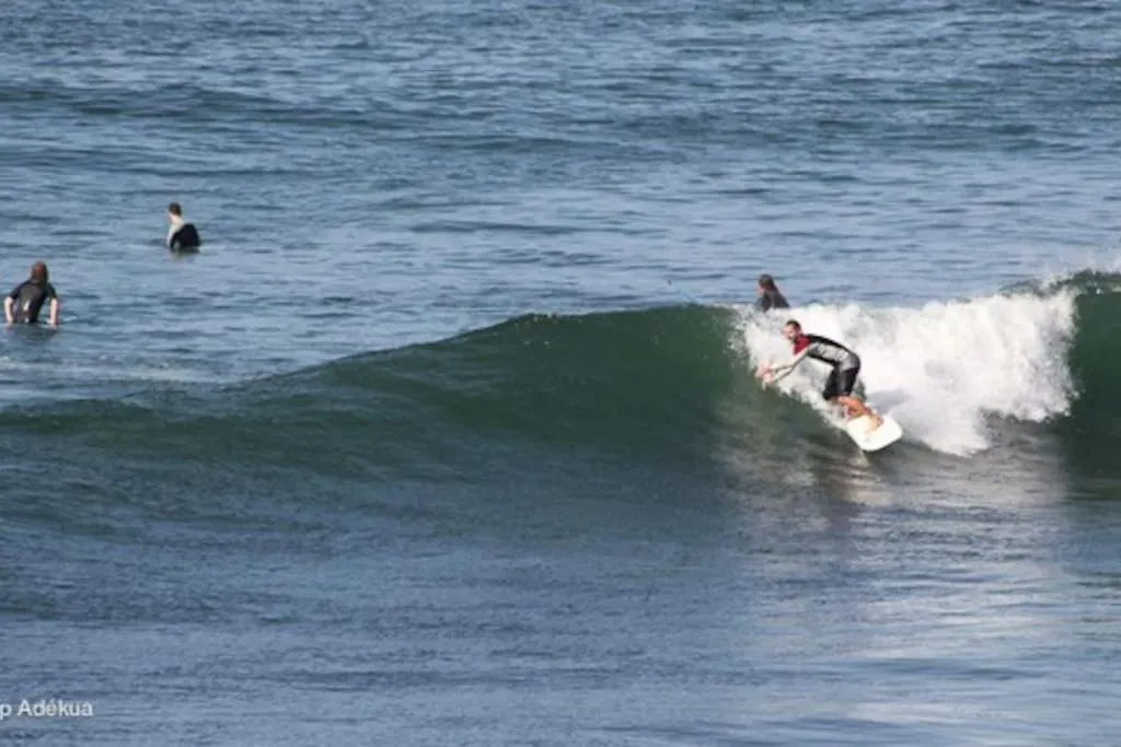 L'Echo Des Vagues - Taghazout Daire Agadir Fas